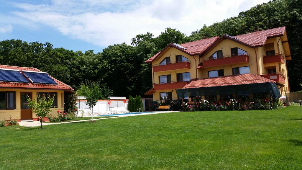 Hotel Vila Maria Snagov Exterior foto